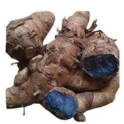 KARUPPU MANJAL / BLACK TURMERIC