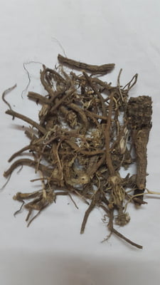 AKRAKAARAM / AKKARA / SPANISH CHAMOMILE ROOT