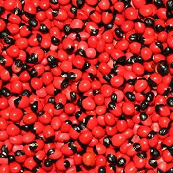 RED KUNDUMANI / ROSARY PEA / GUNCHI