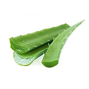 KATTRAZHAI / ALOE VERA POWDER