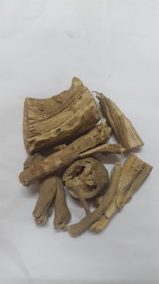 AMUKKARA KIZHANGU / ASHWAGANDHA / WINTER CHERRY