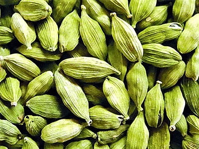 Elaichi / Cardamom