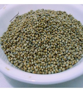 BAJRA / KAMBU / PEARL MILLET