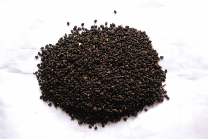 KARBOGA ARISI / BABCHI SEEDS POWDER