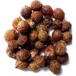 BOONDHI KOTTAI / REETHA / SOAPNUT