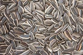 SUNFLOWER SEEDS (For birds)