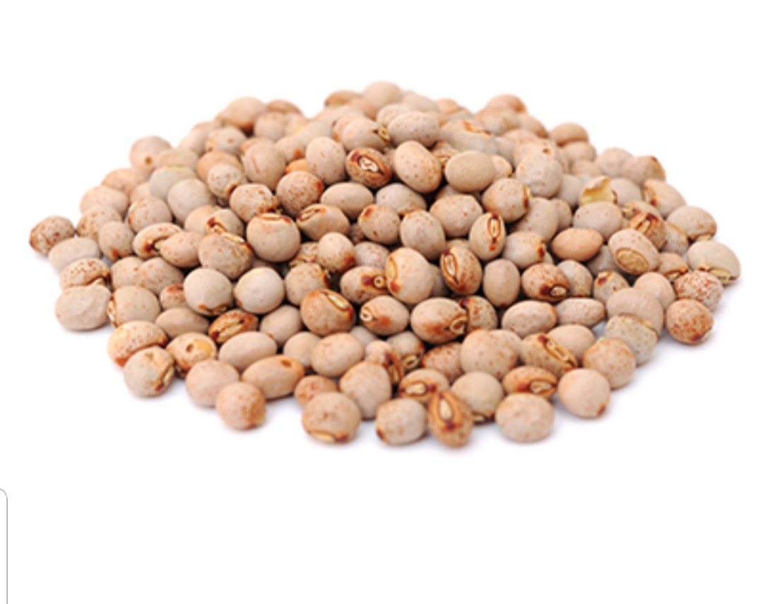 THOVARAI / PIGEON PEA